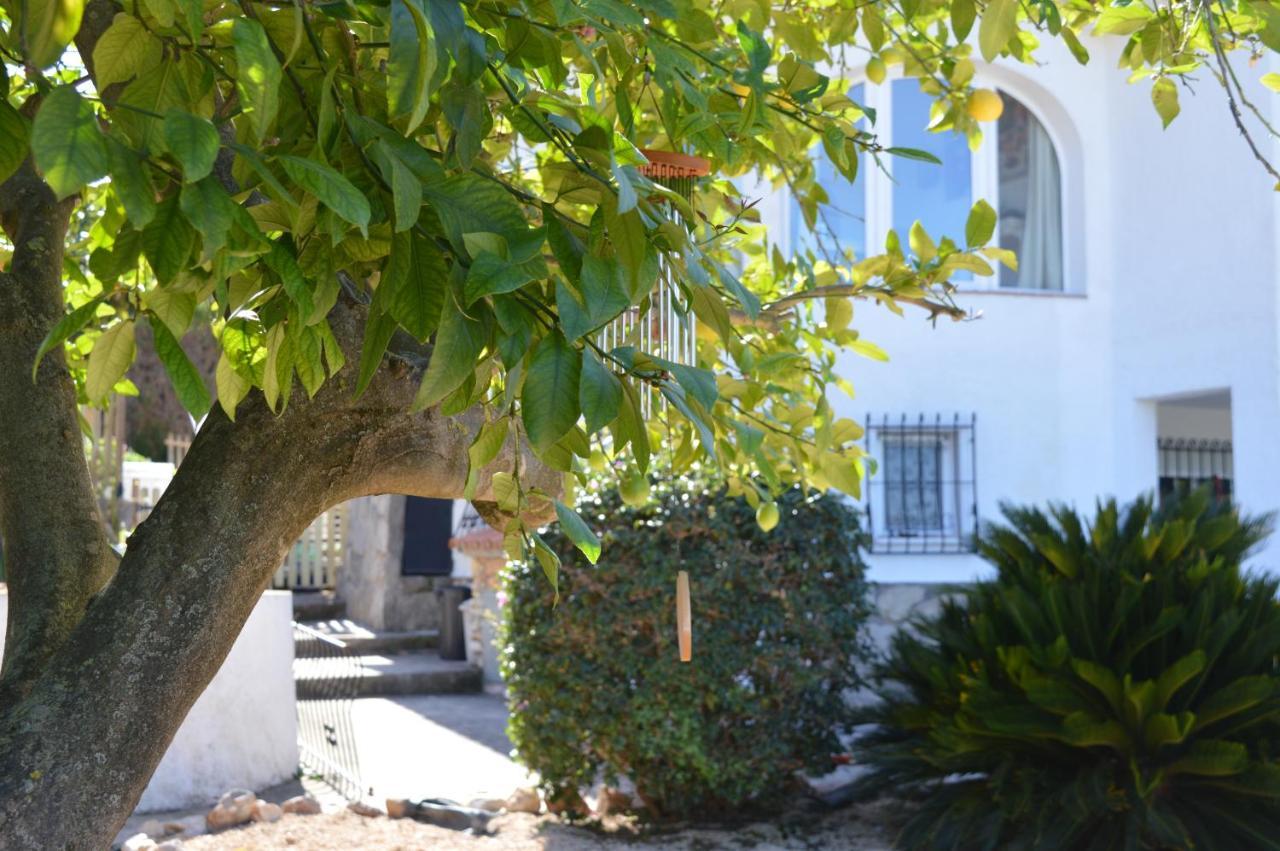 Casa Jiby Apartment Llosa de Camacho Exterior photo