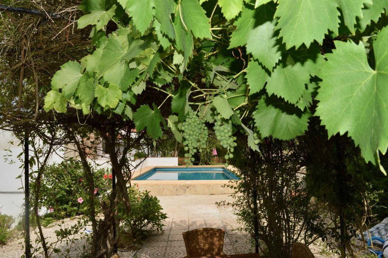 Casa Jiby Apartment Llosa de Camacho Exterior photo